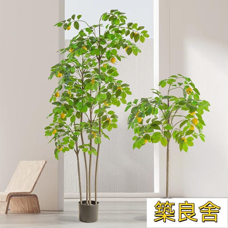 免運 開立發票 模擬樹 模擬綠植 盆栽 居家擺飾 擺件 假樹 模擬樹 模擬盆栽 北歐風模擬綠植檸檬樹盆栽擺件室內客廳裝飾假植物盆景假樹模擬樹