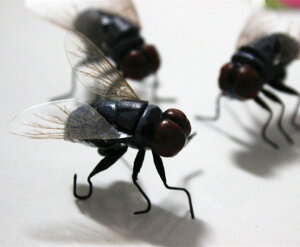 仿真昆蟲 蒼蠅 磁鐵冰箱貼裝飾品 場景布置 教育用品 整人玩具