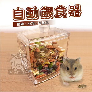 小寵壓克力自動餵食器 寵物鼠餵食盒 自動飼料罐 餵食碗 食盆 蜜袋鼯/兔子/刺蝟/松鼠/熊鼠/黃金鼠《亞米屋Yamiya》