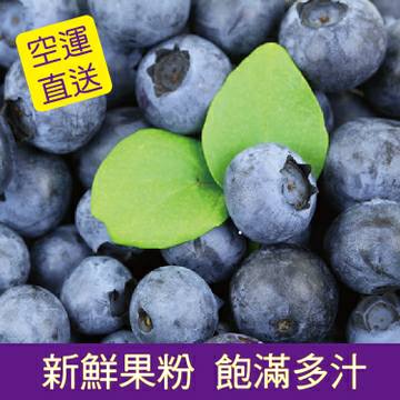 【緁迪水果JDFruit】空運進口新鮮藍莓保證果粉 一盒125/克 單盒組