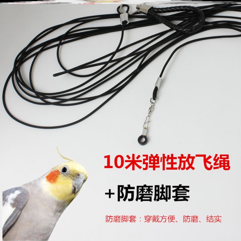 放飛繩 鸚鵡腳鏈鳥鏈子不傷腳超輕玄鳳和尚小太陽放飛繩溜鳥繩溜鸚鵡神器【MJ13766】