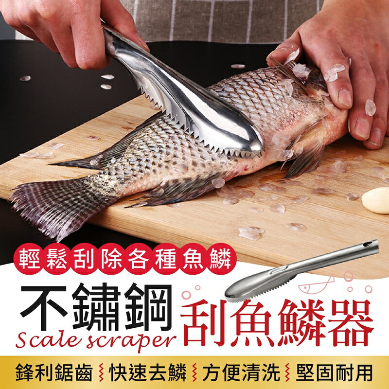 不鏽鋼刮鱗器刮鱗器刮鱗魚鱗刨 22年10月 Rakuten樂天市場