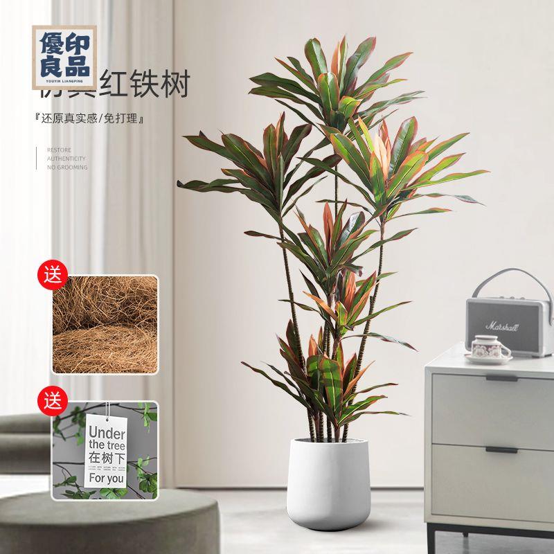 免運 工廠現貨 模擬樹 模擬綠植 仿真植物 裝飾假樹 紅鐵樹模擬綠植室內高階輕奢大型落地擺件客廳仿生假樹綠植物盆栽免運 工廠現貨 模擬樹 模擬綠植 仿真植物 裝飾假樹免運/可開發票 工廠直銷 特價出 y5418