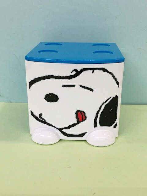 【震撼精品百貨】史奴比Peanuts Snoopy SNOOPY迷你置物盒-史奴比藍#29285 震撼日式精品百貨