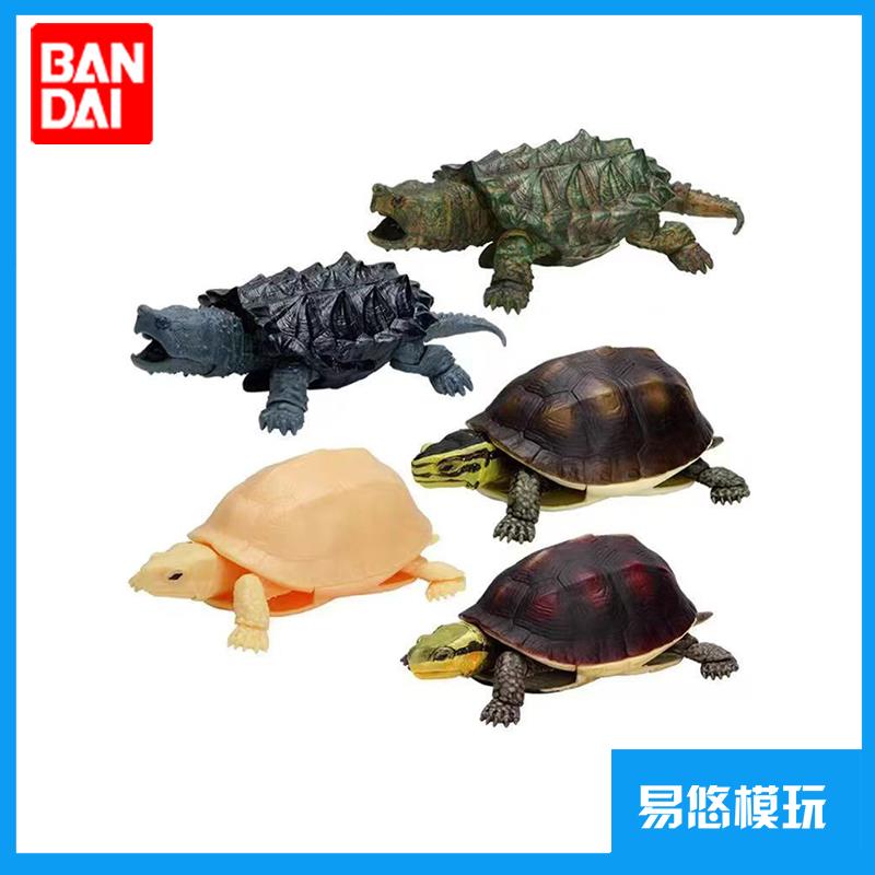 {可刷卡 打統編}萬代 模擬生物系列 生物大圖鑒 盒蛋 烏龜陸龜 閉殼龜 鱷龜