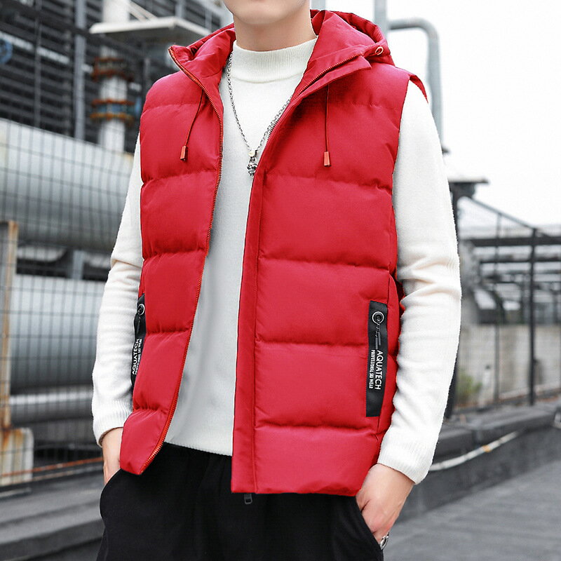 羽絨棉背心馬甲外套-秋季立領潮流男背心2款v1as43【巴黎精品】