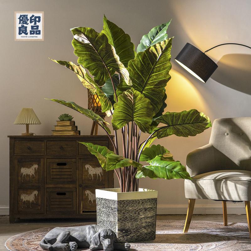 免運 工廠現貨 模擬樹 模擬綠植 仿真植物 裝飾假樹 綠植模擬大型紅芋葉盆栽假樹室內造景景觀落地式櫥窗裝飾擺件輕奢免運 工廠現貨 模擬樹 模擬綠植 仿真植物 裝飾假樹免運/可開發票 工廠直銷 特價出 y5418