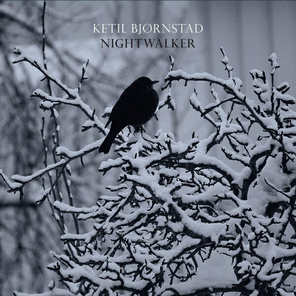 【停看聽音響唱片】【CD】凱特爾．畢卓斯坦：夜遊者 (2CD)
