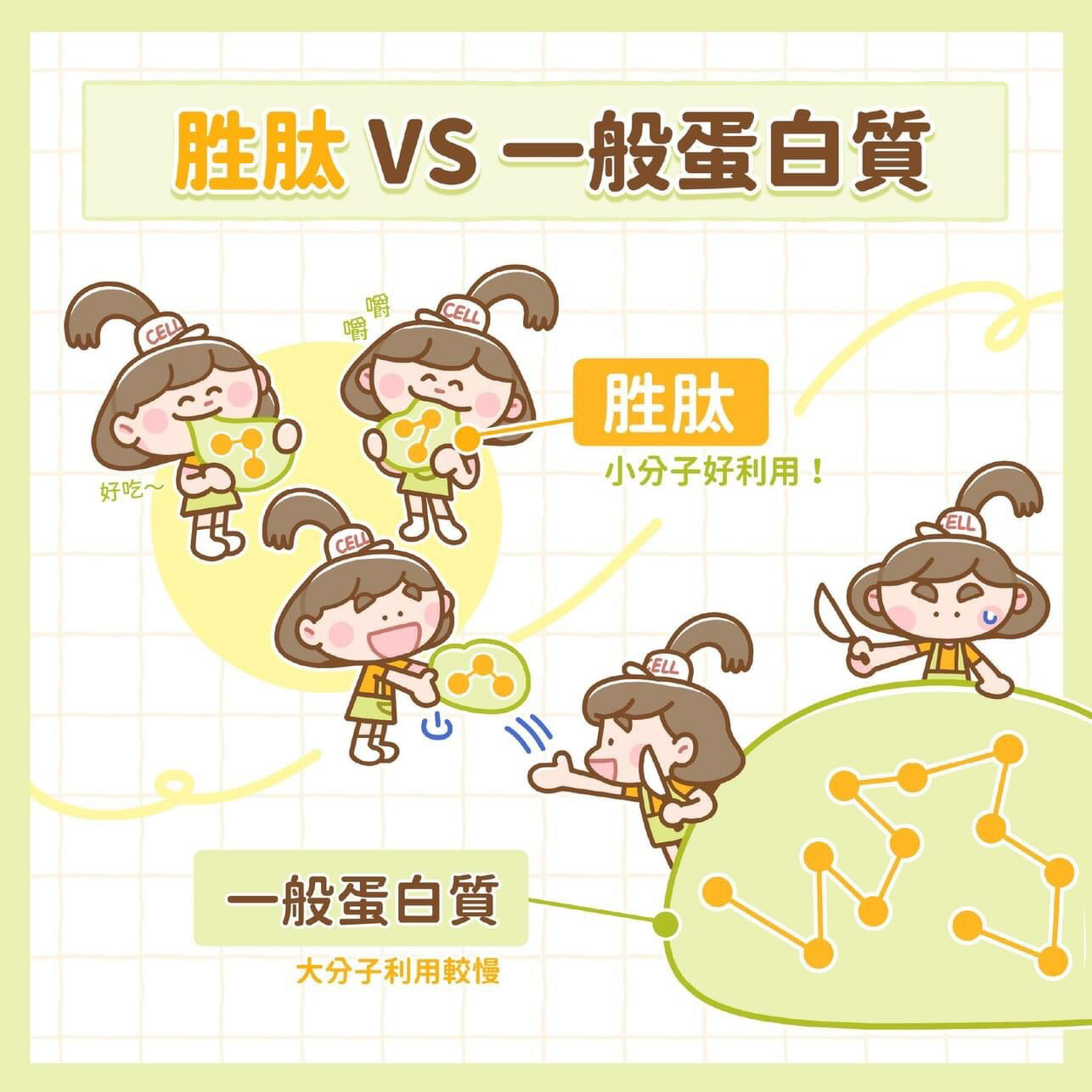 Vita Codes-大侑 大豆胜肽 群精華 450g 3