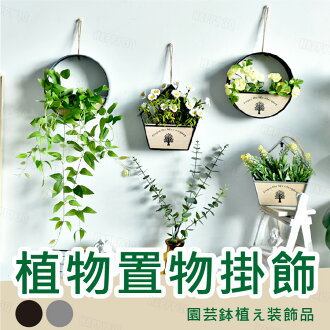Muji 無印良品植物 盆景 盆栽 庭院 花草與園藝 21年5月 Rakuten樂天市場 Muji 無印良品植物 盆景 盆栽 庭院 花草與園藝 21年5月 Rakuten樂天市場