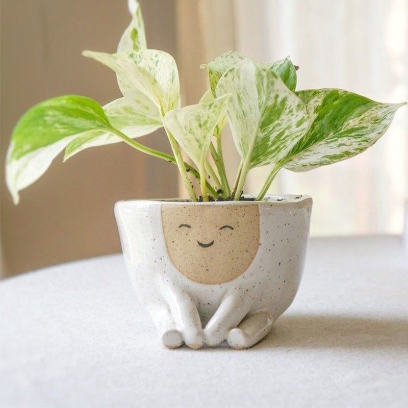 花架 植物幻想 北歐風軟裝裝飾簡約可愛表情小型桌面綠植多肉陶瓷花盆『XY25798』