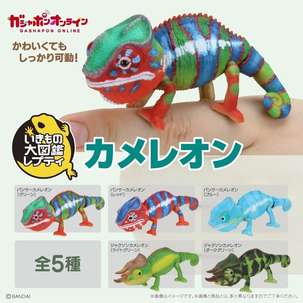 日本萬代 生物大圖鑑 雨蛙 變色龍 | 樹蛙 日本青蛙 自然科學教具 青蛙模型 爬蟲類模型 日本進口 - BANDAI萬代 雨蛙 變色龍 日本選物 熱銷商品 日本人氣 JAPAN 現貨 送禮推薦 日本扭蛋 科學教材 擬真模型 動物模型 青蛙公仔 日本 日本代購 日本空運來台 代購