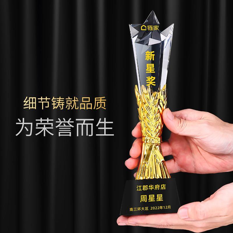 客製獎杯 獎座 冠軍杯 五角星水晶獎杯定制樹脂麥穗獎牌定做年會頒獎銷冠員工紀念品