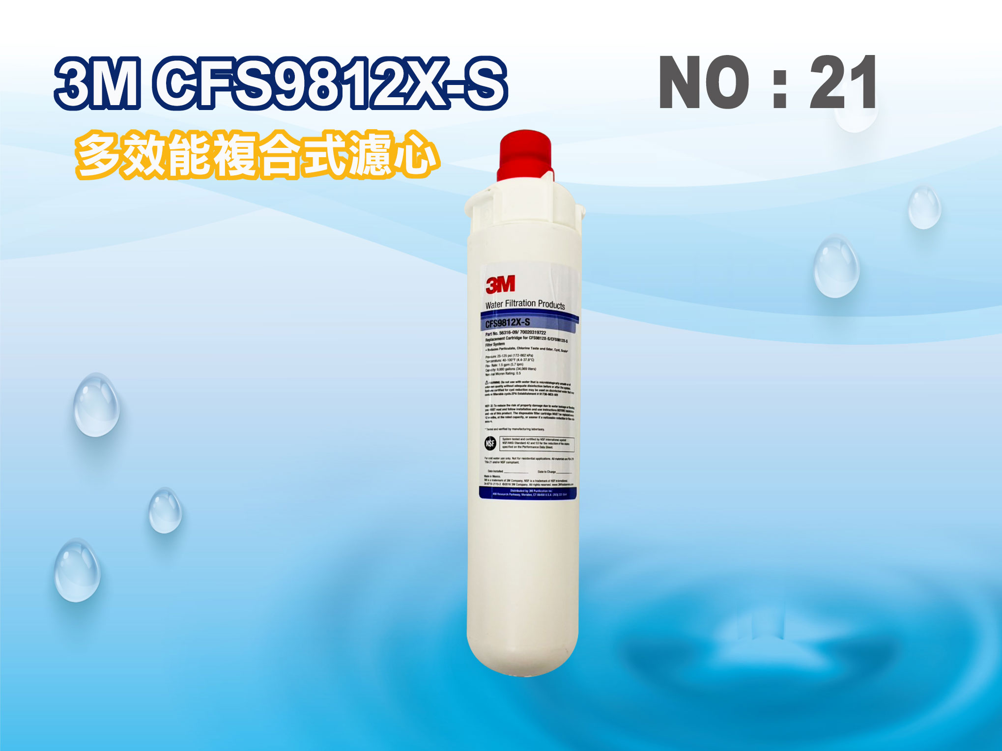 【龍門淨水】3M CFS9812XS濾心 淨水器 濾水器 電解水機 飲水機 製冰機 咖啡機 開飲機(貨號21)
