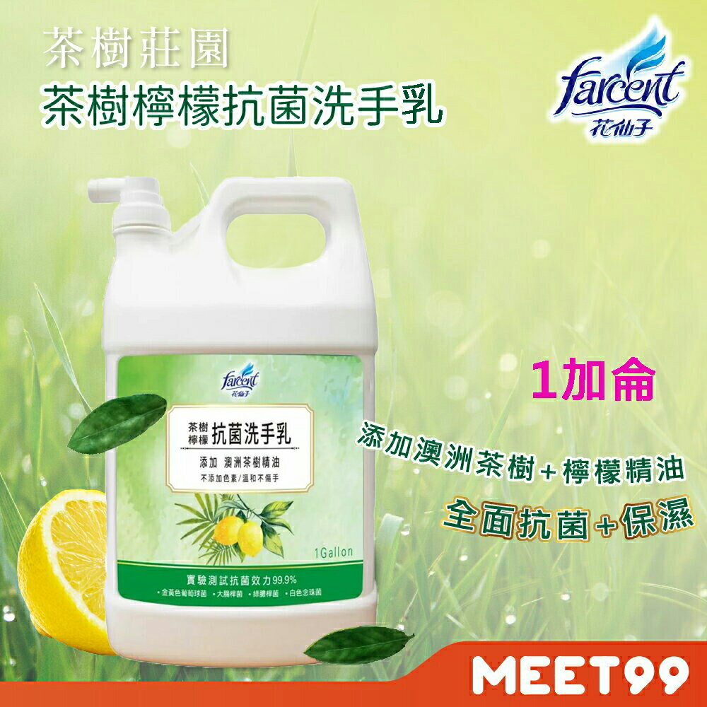 【茶樹莊園】茶樹檸檬抗菌洗手乳(1加侖/瓶) 3.8公升 洗手乳大罐裝