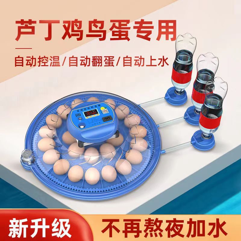 【最低價】【公司貨】威振小飛碟孵化器小型家用迷你孵化機智能全自動鳥蛋蘆丁雞孵蛋箱