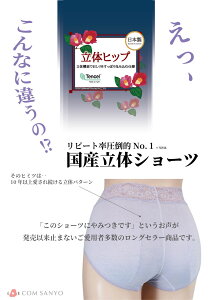 日本製 Tancel 天絲 立體臀部蕾絲內褲 (4色)