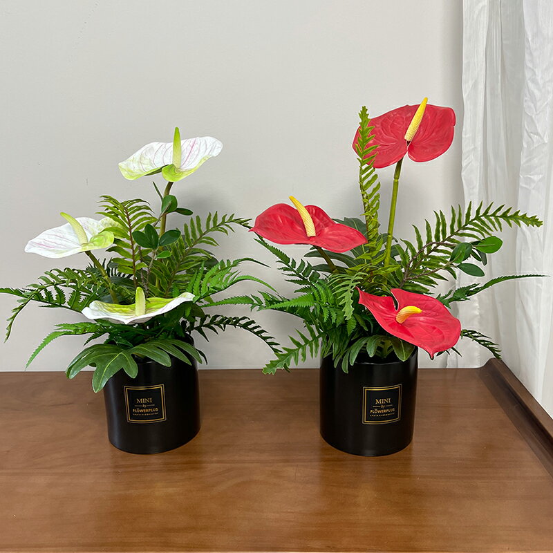 wo+仿真紅掌綠掌白掌綠植盆栽客廳茶幾室內擺件現代自然風裝飾花