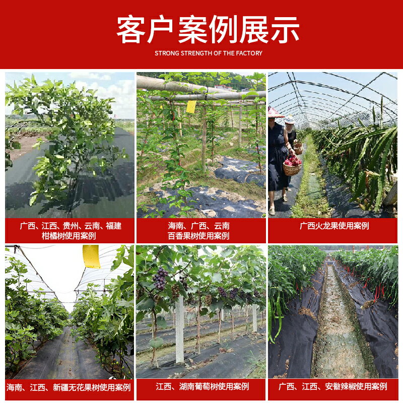 生態防草布果樹果園除草布無紡地布可降解遮蓋草地膜農用耐用新型| 小山