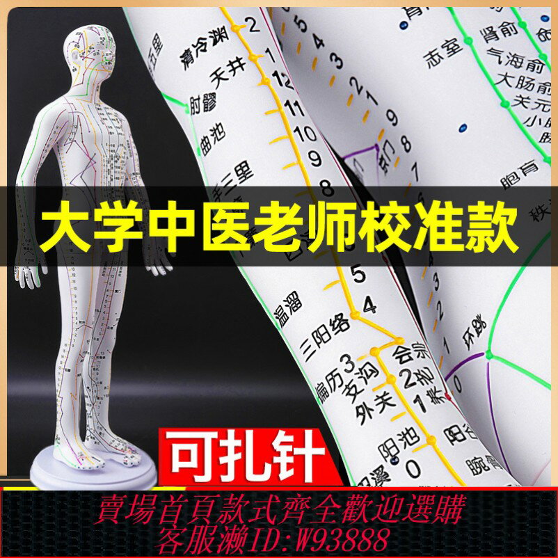 {臺灣公司貨 可打統編}針灸穴位人體模型可扎針經絡全身圖小銅人模特大標準十二人形練習
