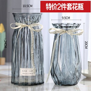 【二件套】歐式玻璃花瓶透明彩色水培植物花瓶客廳裝飾擺件插花瓶