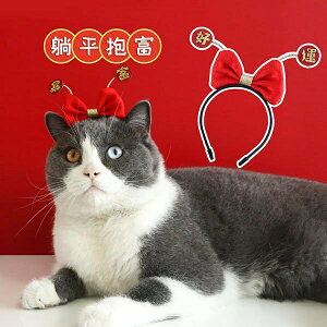 『台灣x現貨秒出』好運/暴富寵物頭飾 寵物裝飾 貓咪裝飾 狗裝飾 貓新年 狗新年 寵物新年