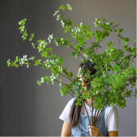 模擬日本吊鐘木大型植物綠葉室內陽臺落地裝飾擺設【摩可美家】
