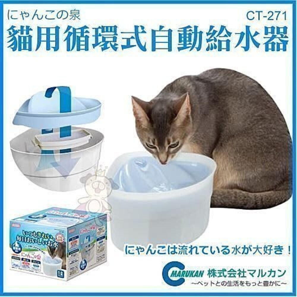 MARUKAN 犬貓循環式給水器 三角自動循環飲水機專用濾棉 軟水濾棉猫用 CT-352『WANG』