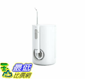 [7東京直購] Panasonic 松下 口腔清洗器 電動牙刷 EW-DJ71, 本體, 白