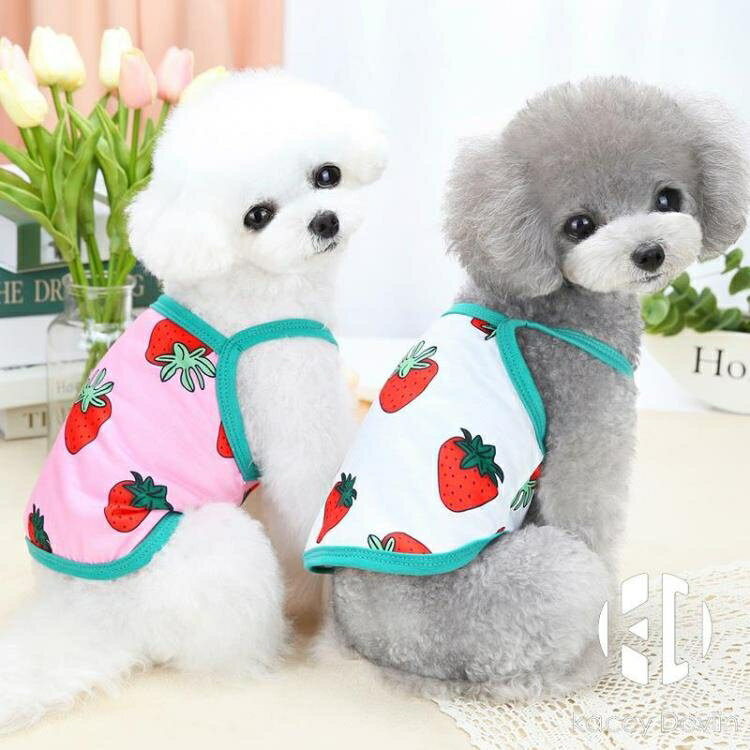 草莓寵物狗狗背心夏季薄款泰迪博美衣服吉娃娃雪納瑞純棉吊帶【聚物優品】
