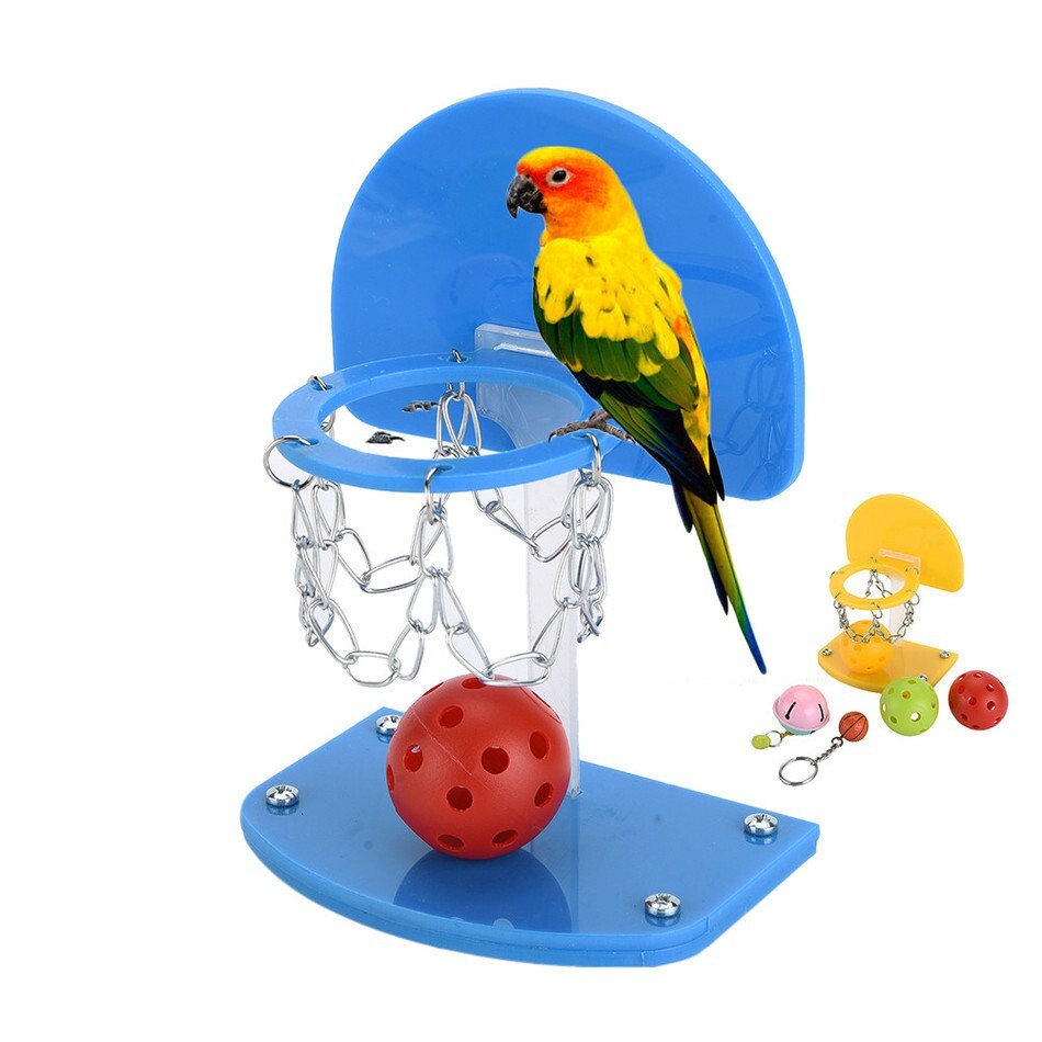 鸚鵡 鳥 訓練 智力開發 迷你籃筐 鳥投籃 鸚鵡籃球架