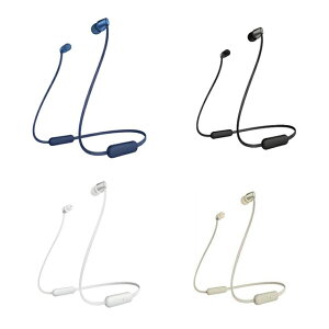SONY WI-C310 入耳式 藍牙耳機 [富廉網]