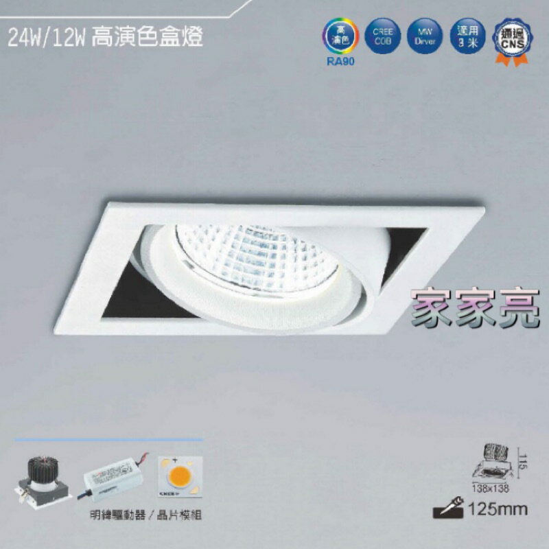 (A Light) 舞光 LED COB 24W 1燈 高演色盒燈 單燈 盒燈 白框 CREE 適用 3米 110V 220V