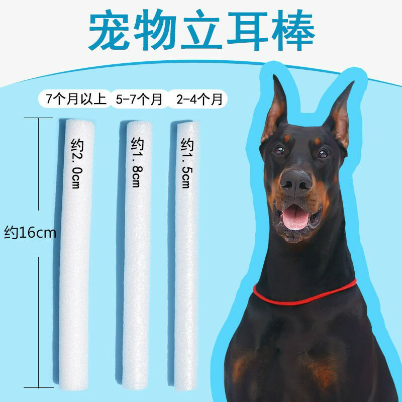 立耳器~~立耳器狗狗耳朵立耳神器立耳棒綁耳膠帶犬立耳器。