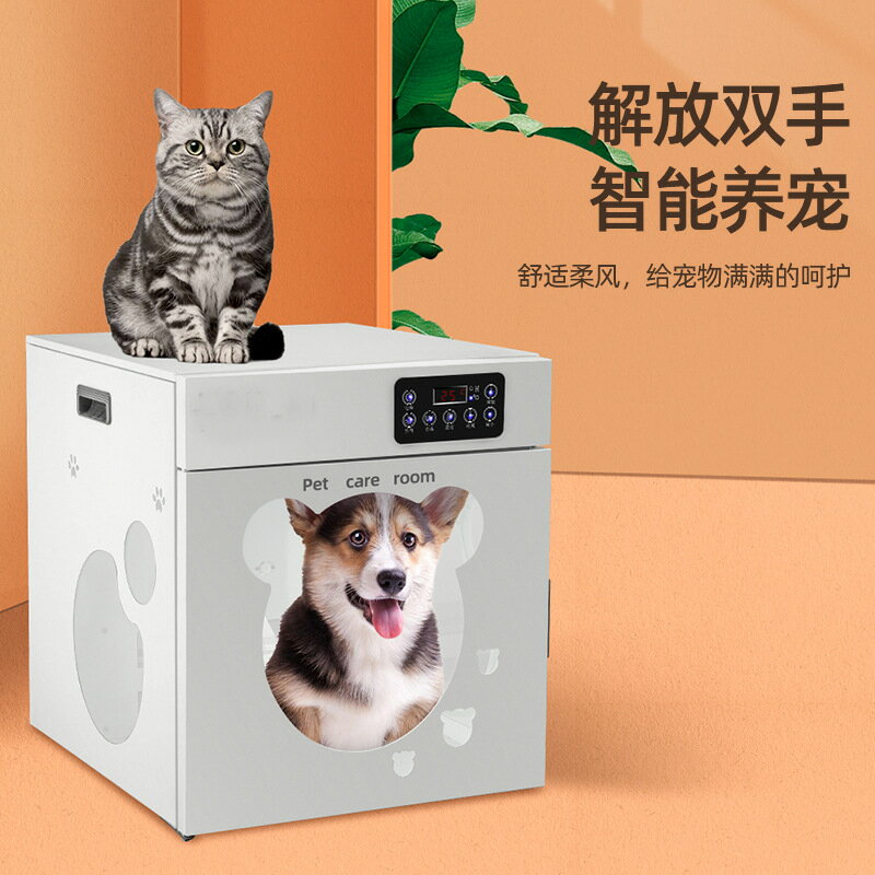 110v寵物烘乾機吹水脫水機貓小型家犬烘乾箱脫水箱熱幹水器亞馬遜爆款 夢露日記