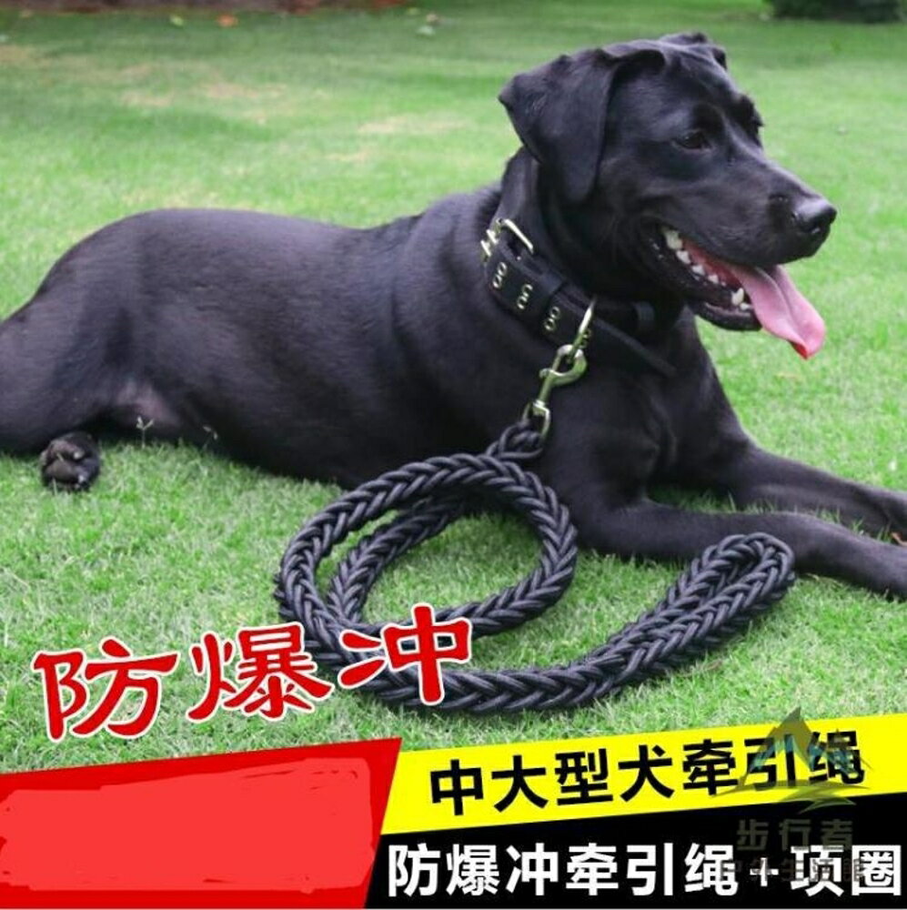 狗狗牽引繩大中型犬遛狗繩子鏈子項圈寵物用品