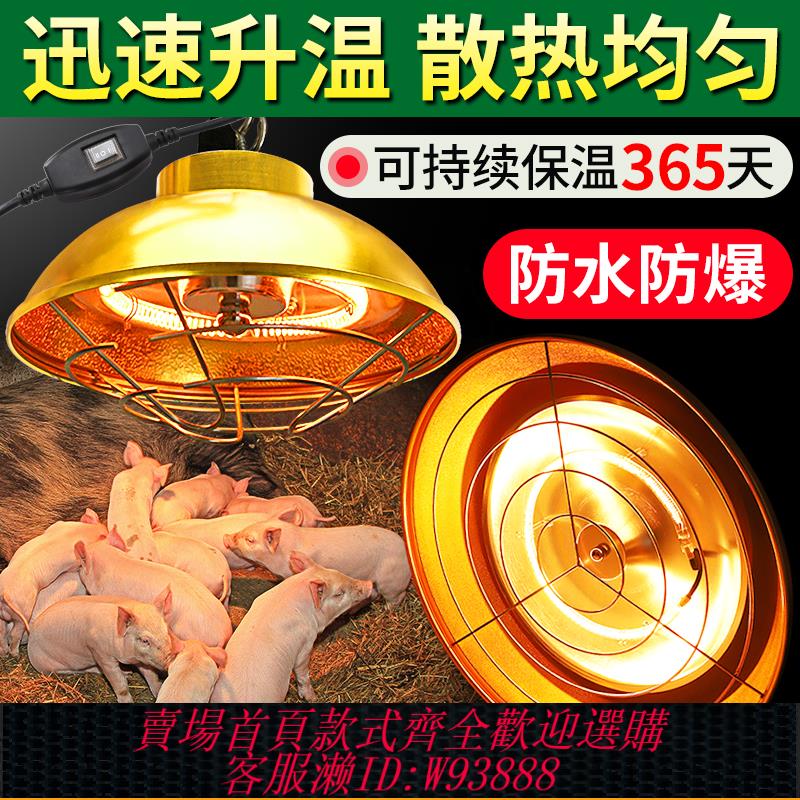 {臺灣公司貨 可打統編}保溫燈養殖場專用鹵素豬用取暖燈罩仔豬小雞育雛暖燈獸用加熱燈泡