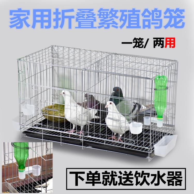 加粗鴿子籠子鴿子用品用具鴿子籠大號雞籠家用鴿子養殖籠子 樂樂百貨