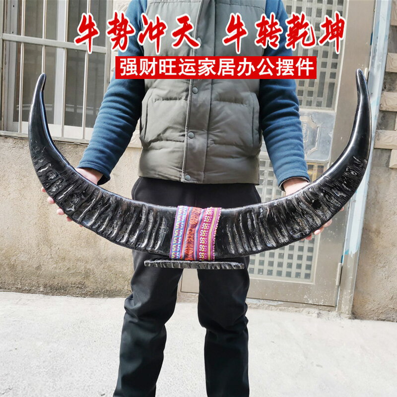 黑水牛角擺件天然對角招財鎮宅辦公室客廳家居工藝品牛年風水禮物