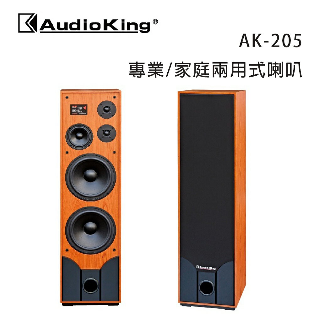 【澄名影音展場】AudioKing 臺灣撼聲 AK-205 專業/家庭兩用式喇叭/對