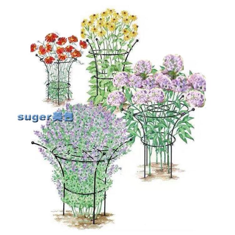 花架鐵藝戶外繡球藍雪花月季花架爬藤架子支撐架固定花支架植物支架桿 雙11全館免運