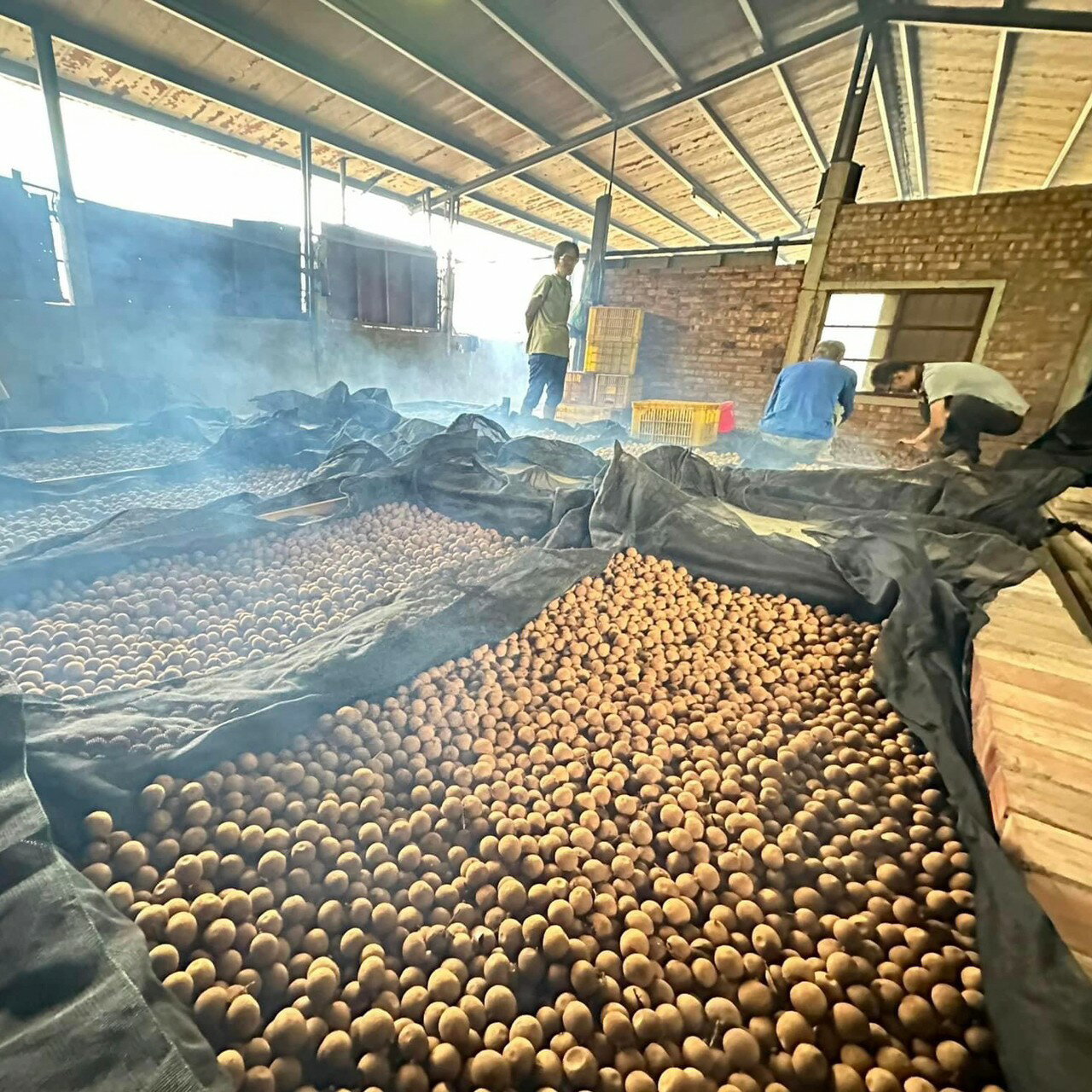 台南東山「賢爸與阿霖」土窯柴燒龍眼乾vs.龍眼肉 5