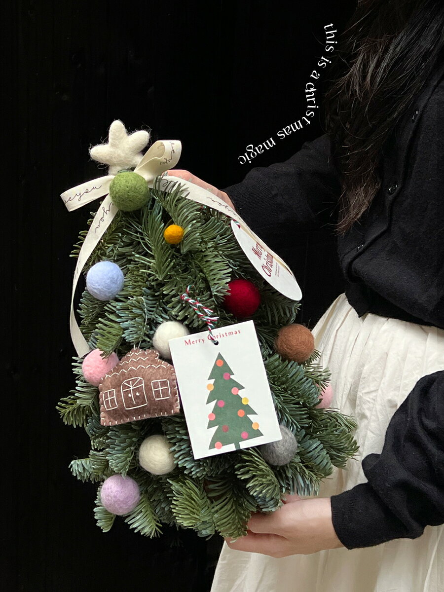 ladylike 2024新款聖誕樹家用 客廳桌面小型假樹擺件聖誕節裝飾品【淘夢屋】