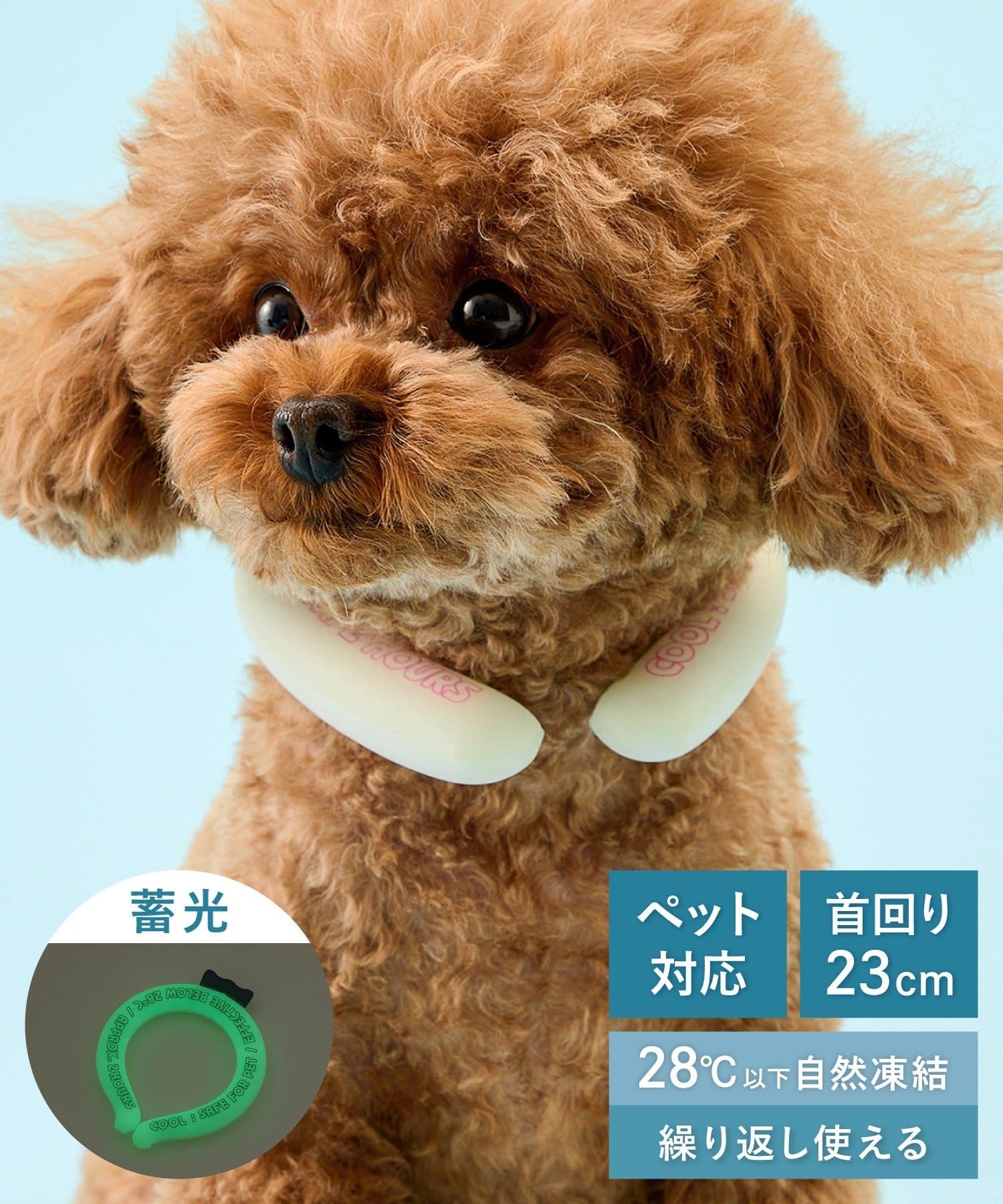 3coins 涼感寵物頸圈（M號）  |  頸圈 涼感圈 降溫舒緩  好用小物 夏季