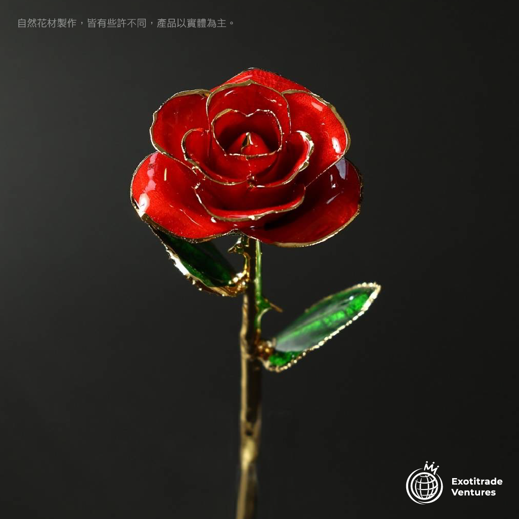 24K金 永恆鍍金珍藏玫瑰_紅色 0