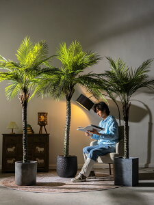 大型高仿真樹刺葵針葵散尾葵仿生綠植物盆栽假樹室內客廳造景裝飾 小山好物嚴選