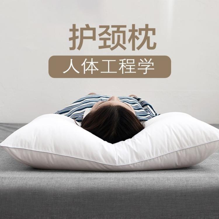 記憶棉枕頭 成人護頸枕頭睡眠家用學生長軟護頸枕頭芯套裝一對枕芯不變形 雙11特惠