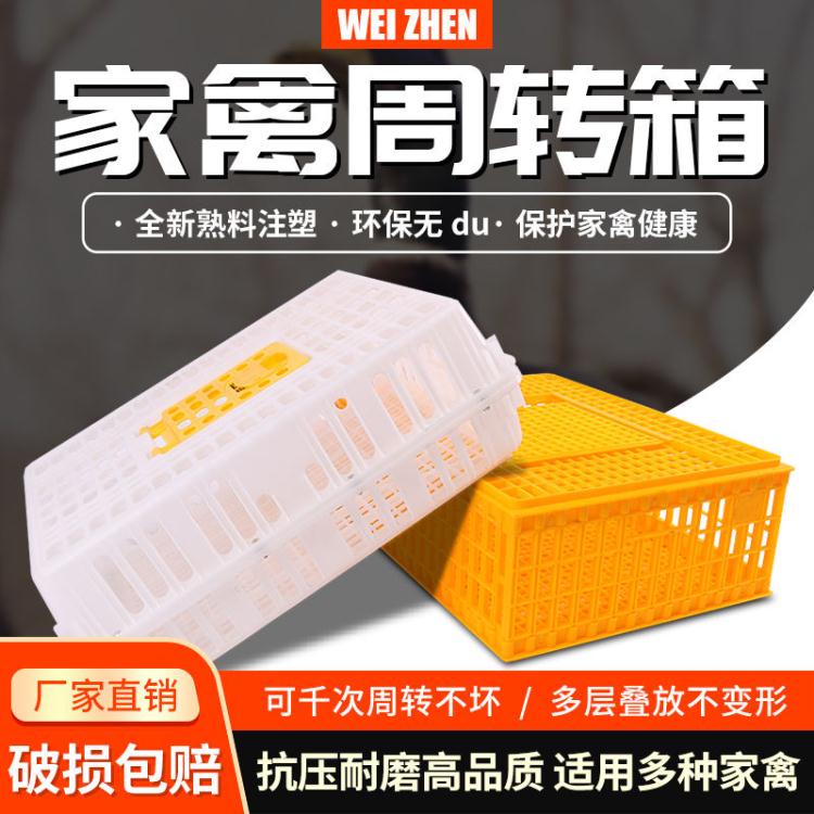 雞籠 【量大優惠】雞籠周轉箱家用大號加厚防摔養殖運輸塑膠雞鴨鵝兔籠