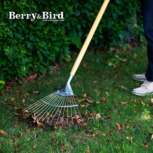 免運 不銹鋼草耙子摟草樹葉庭院掃落葉扒子花園藝英國BB工具