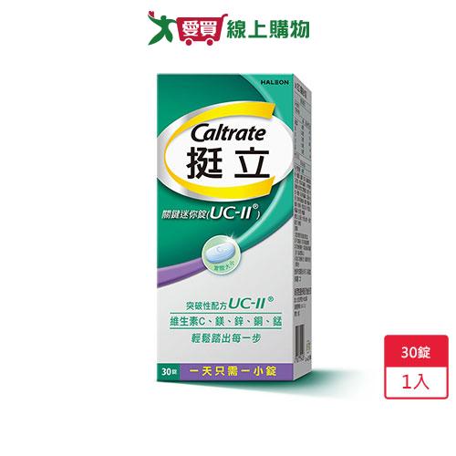 挺立關鍵迷你錠30錠【愛買】